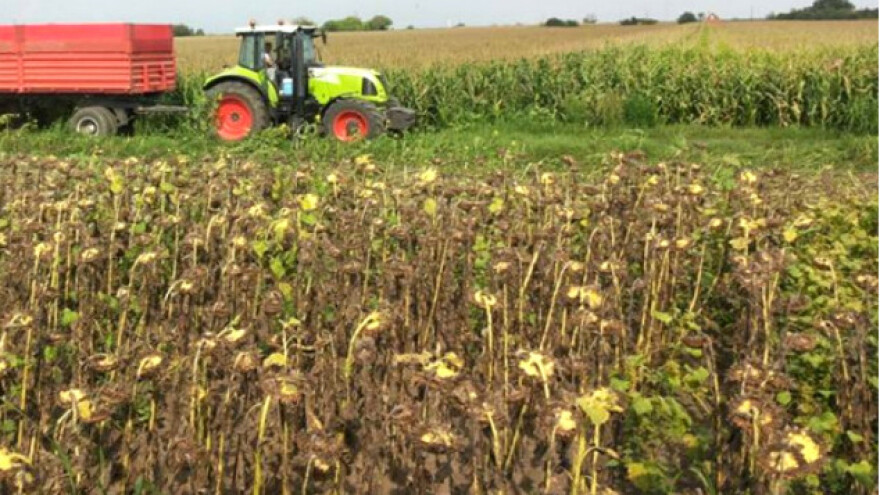 Prinos solidan - čeka se konačna cena