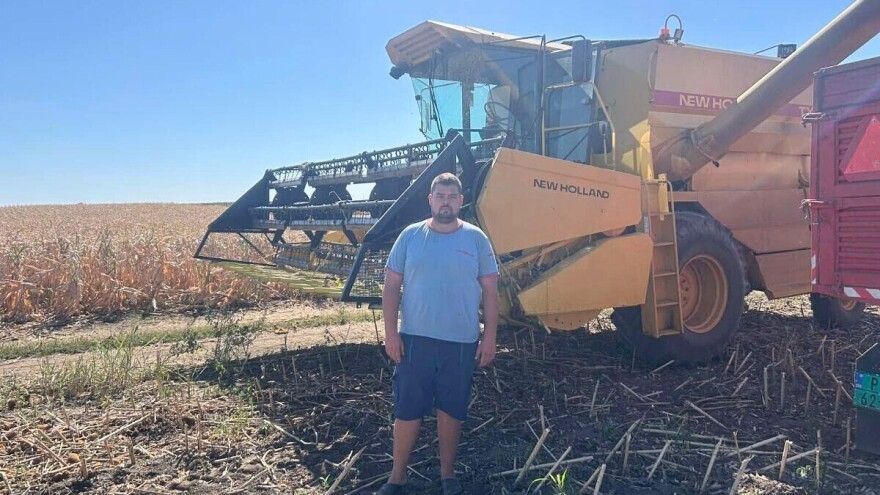 Ratar Jan Vika: "Grad mi je potukao sedam hektara suncokreta, prinos šarenolik"