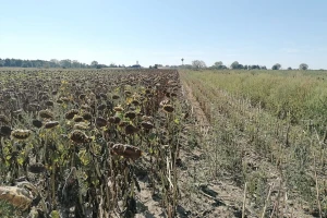 Početak septembra uz smenu sunca i oblaka. Na snazi hidrološko upozorenje