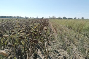 Početak septembra uz smenu sunca i oblaka. Na snazi hidrološko upozorenje
