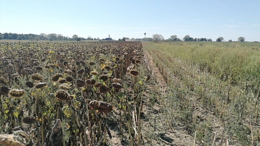 Početak septembra uz smenu sunca i oblaka. Na snazi hidrološko upozorenje
