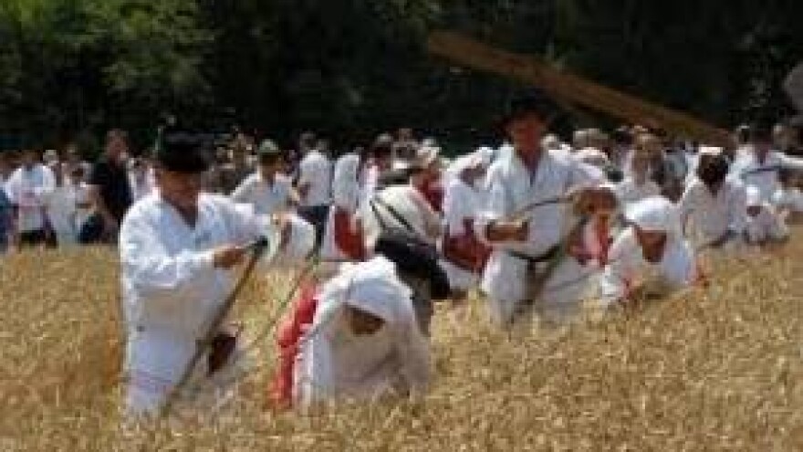 Kruh naš svagdašnji - žetva i vršidba u prošlosti