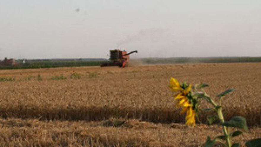 Ne paliti slamu i strnište nakon žetve