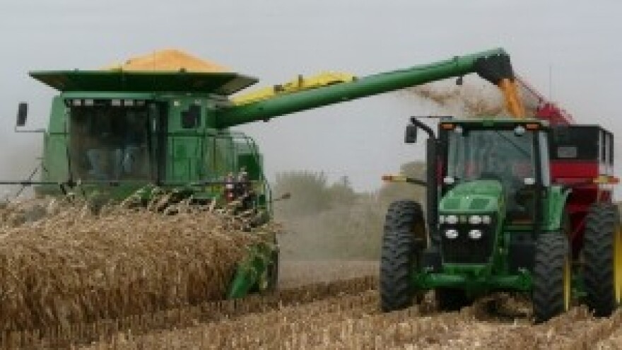 Sjemenari traže zakonsku zabranu sjetve “tavanuše”