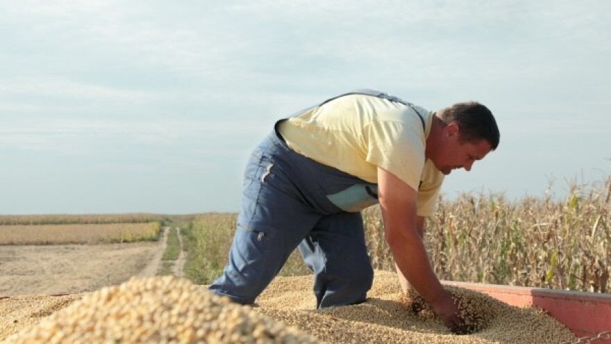 Očekuje nas jedna od lošijih žetvi!