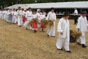 Tradicionalna manifestacija