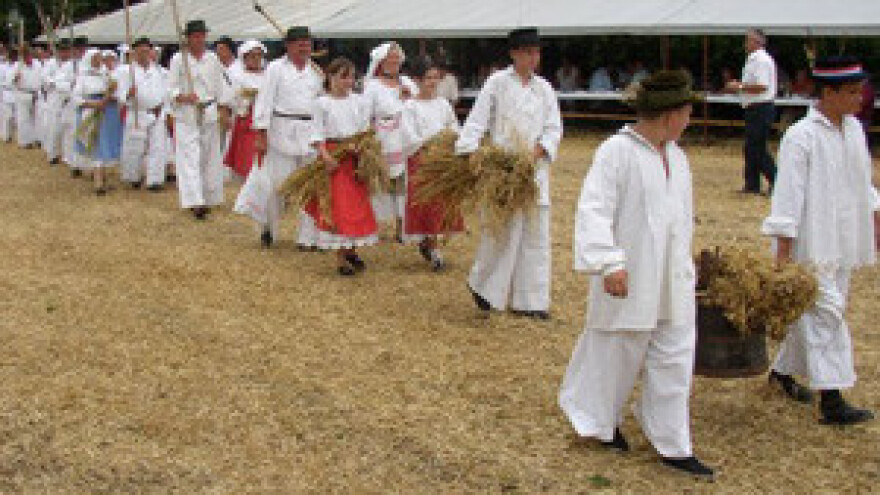 Tradicionalna manifestacija