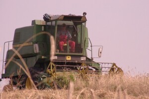 Ako otkupna cijena podbaci, tražit ćemo pomoć!
