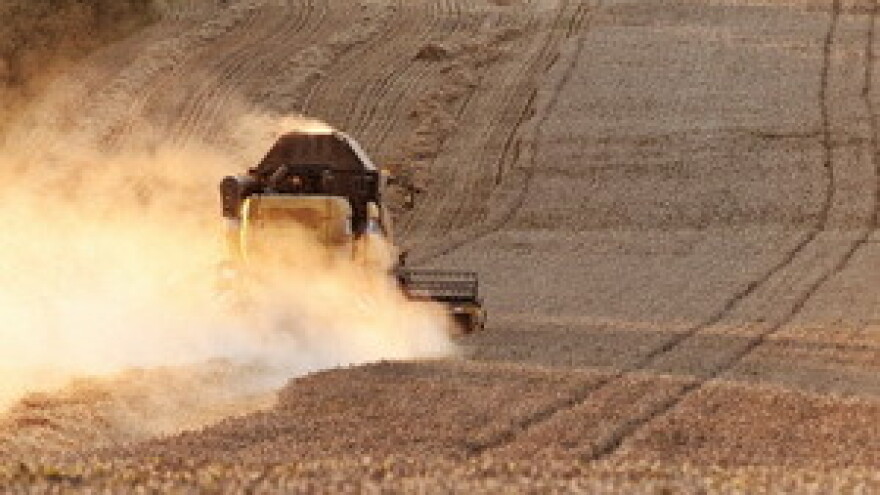 Uvjerljivo najgora žetva - prinosi prepolovljeni!