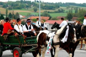 Stare žetvene svečanosti u Zrinskom Topolovcu