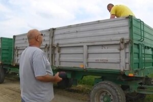 Neće rasti cijena pšenice?