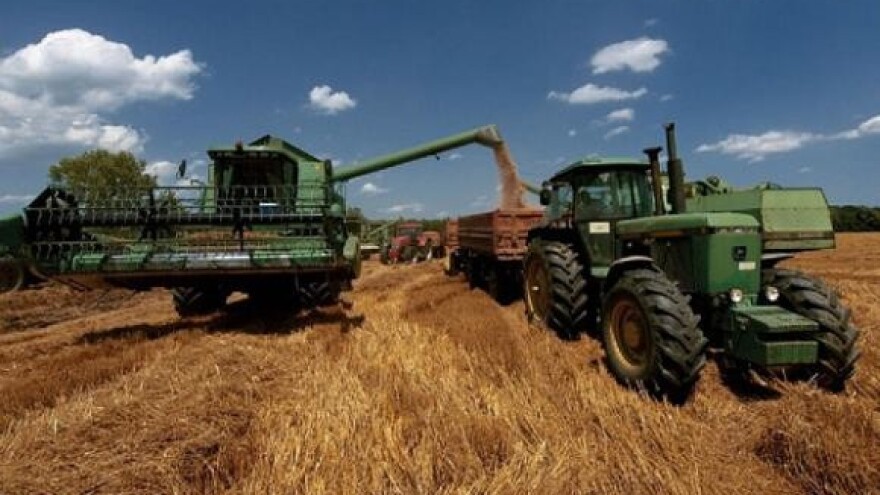 Podbacila pšenica, ječam i uljana repica