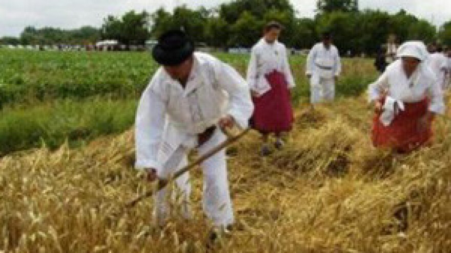 Žetvene svečanosti u Zadubravlju
