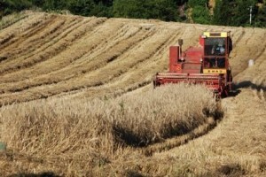 HPK-a za naknadu štete traži 300 milijuna kuna
