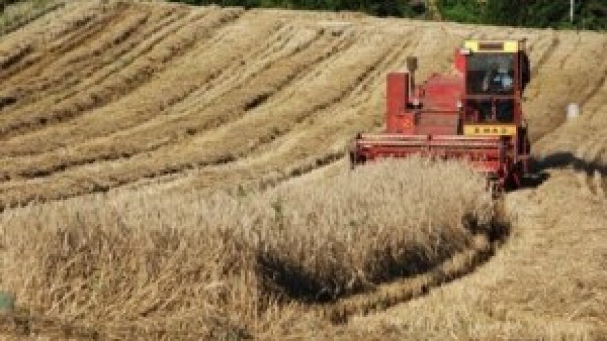 HPK-a za naknadu štete traži 300 milijuna kuna