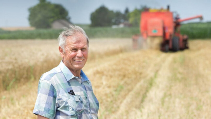 Rusija rekorder u proizvodnji žitarica