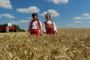 U Novom Bečeju održan 11. "Žetveni dan"