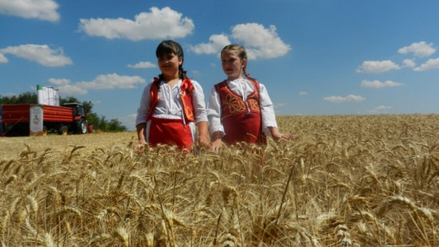 U Novom Bečeju održan 11. "Žetveni dan"