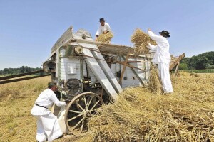 Žetveni sajam za sve ljubitelje tradicije!
