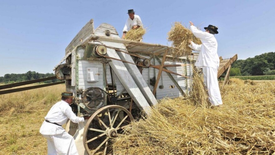 Žetveni sajam za sve ljubitelje tradicije!