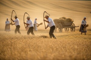 Žetveni sajam u Županji!