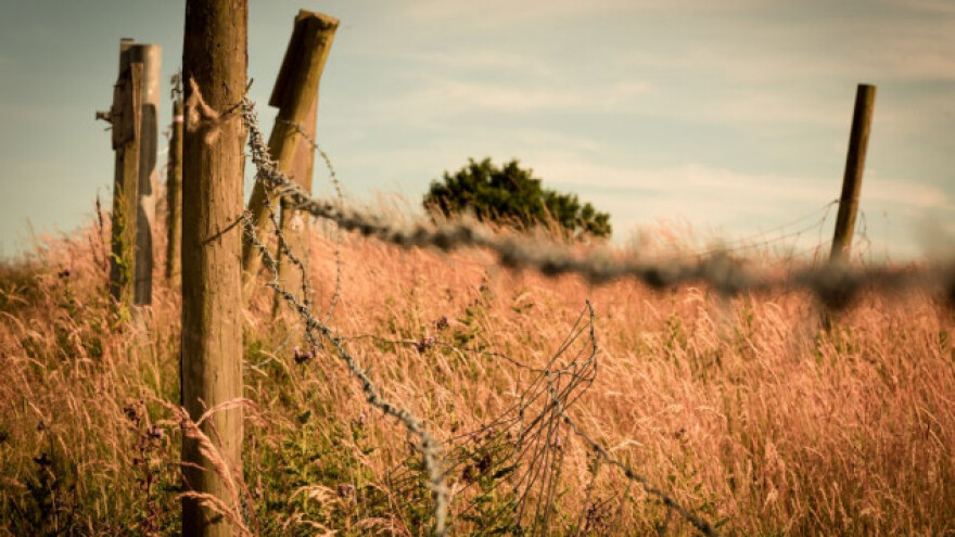Jedna žrtva kobne električne žice oko kukuruza