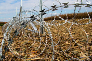 Žilet žica priječi prirodne migracije divljači