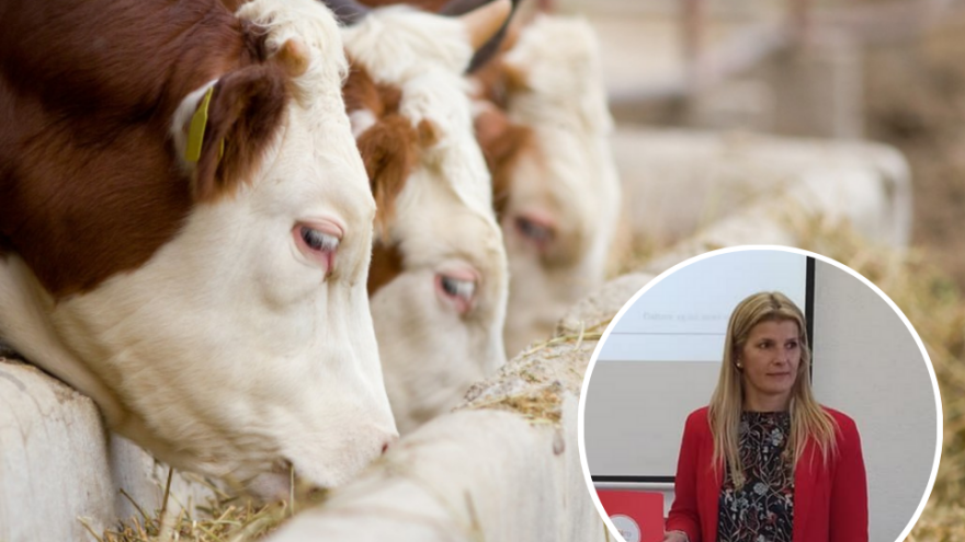 Diplomu ekonomiste odložila u vitrinu: Na očevom imanju uzgaja bikove