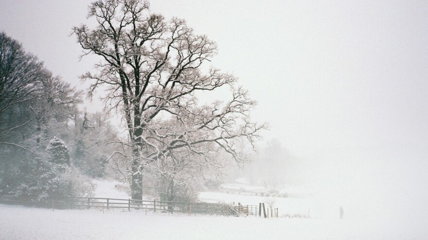 Ledeni dani do ponedeljka