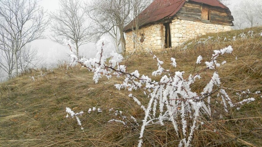 Nema odmora zimi za poljoprivrednike: Šta treba obaviti?