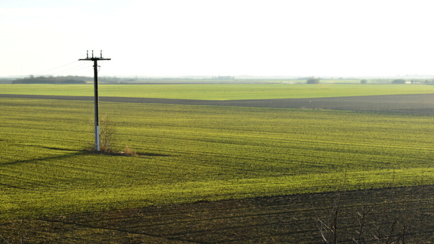 Temperatura iznad proseka: Registrovana pegavost ječma i lisna rđa pšenice