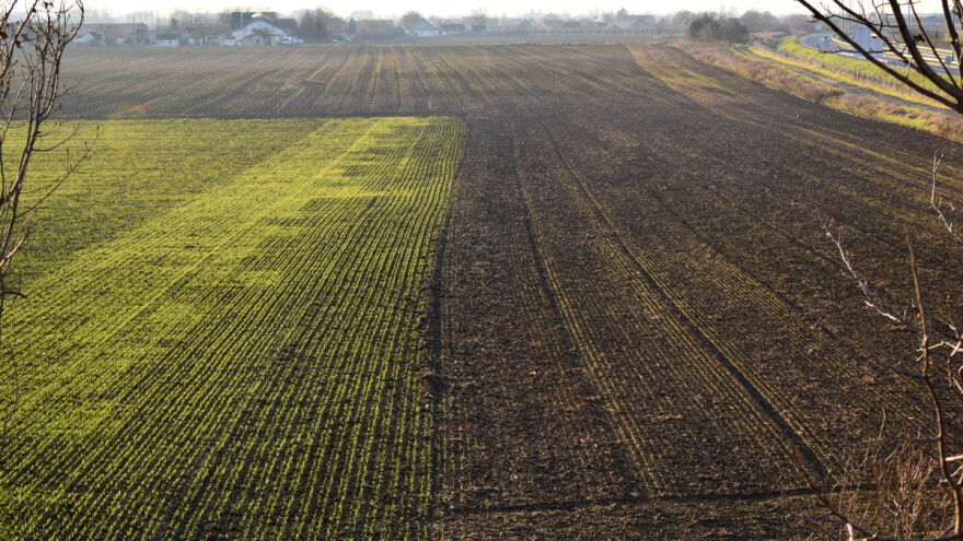 Zamor zemljišta: Koji su znakovi i kako ga spriječiti?