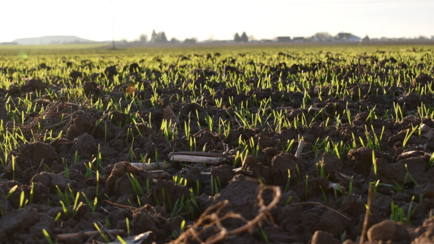 Razvedravanje i prestanak padavina od srede