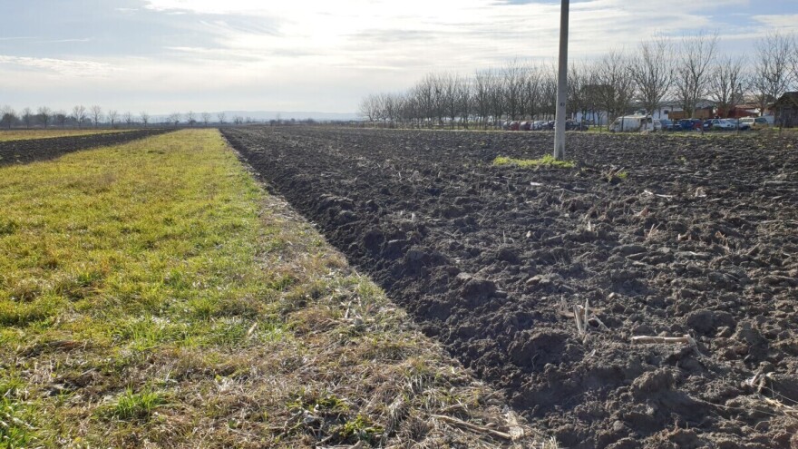 Hladno vreme s jutarnjim mrazem: Borba s glodarima i dalje traje