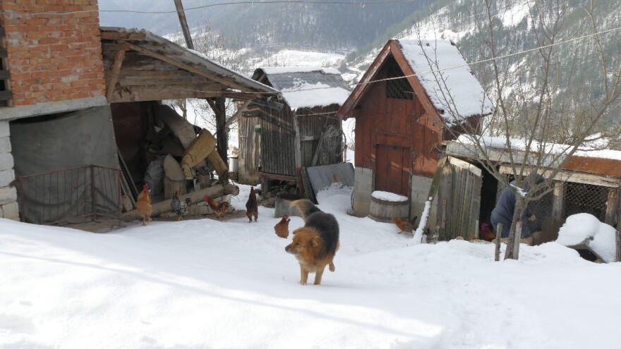 Čekajući da snijeg pokori: "Ne sluti ove na dobro, moj rođače"