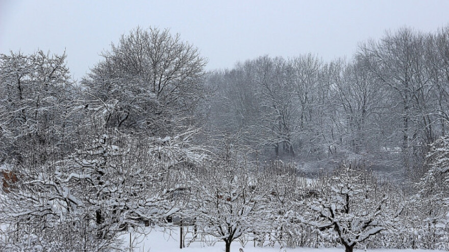 Niske temperature opasne i korisne za voćke