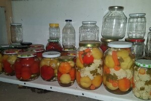 Zimnica se može spremati i zimi - iz zamrzivača u teglu