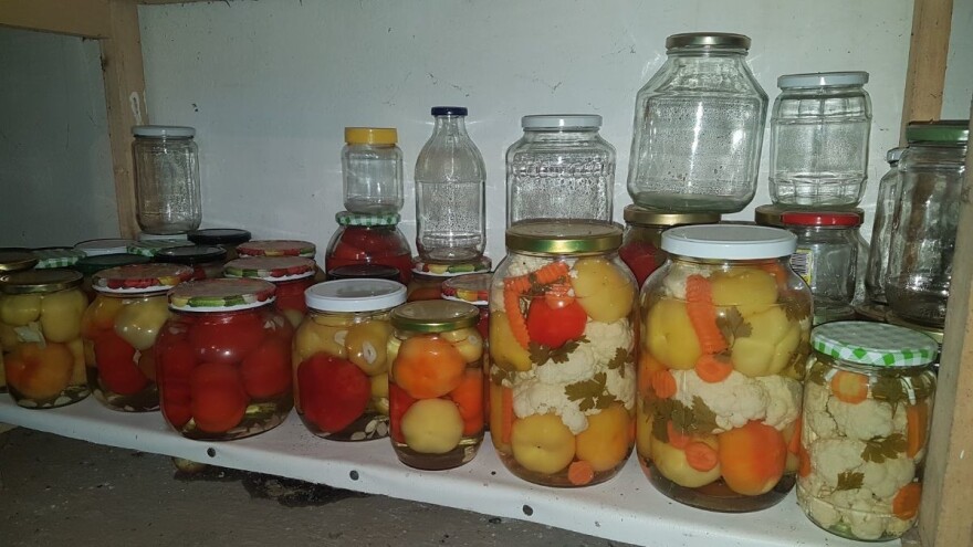 Zimnica može da se sprema i zimi - iz zamrzivača u teglu