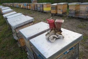 Zimska priprema košnica - kada treba početi?
