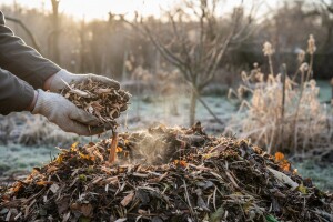 Zimski kompost