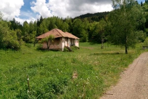 Izolovana sela Nove Varoši - šipražje, divlje životinje i poneki stari meštanin