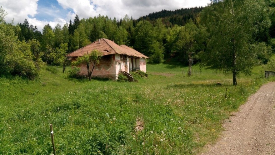 Izolovana sela Nove Varoši - šipražje, divlje životinje i poneki stari meštanin