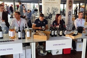 Otvoren je Zin fest - sve o Crljenku i rođaku doznajte u Kaštel Gomilici
