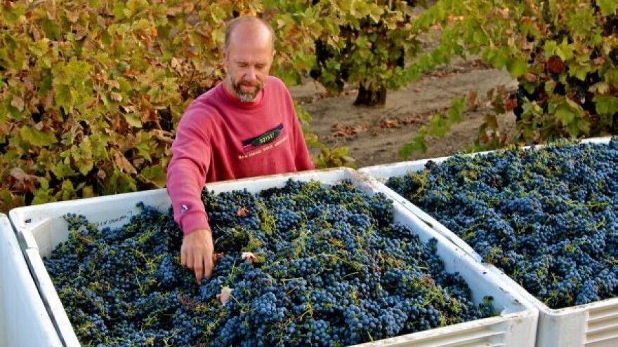 Misterij podrijetla Zinfandela u SAD-u