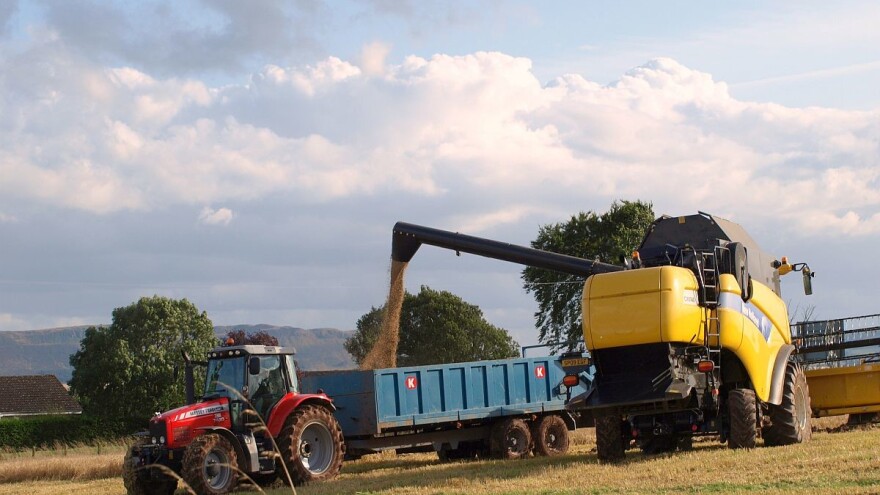 Ukrajinski ratari požnjeli 47 miliona tona žitarica