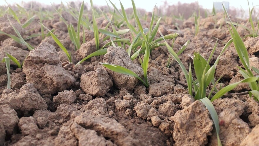 EU sljedeće generacije: Do kraja ljeta u Hrvatsku stiže oko 800 milijuna eura