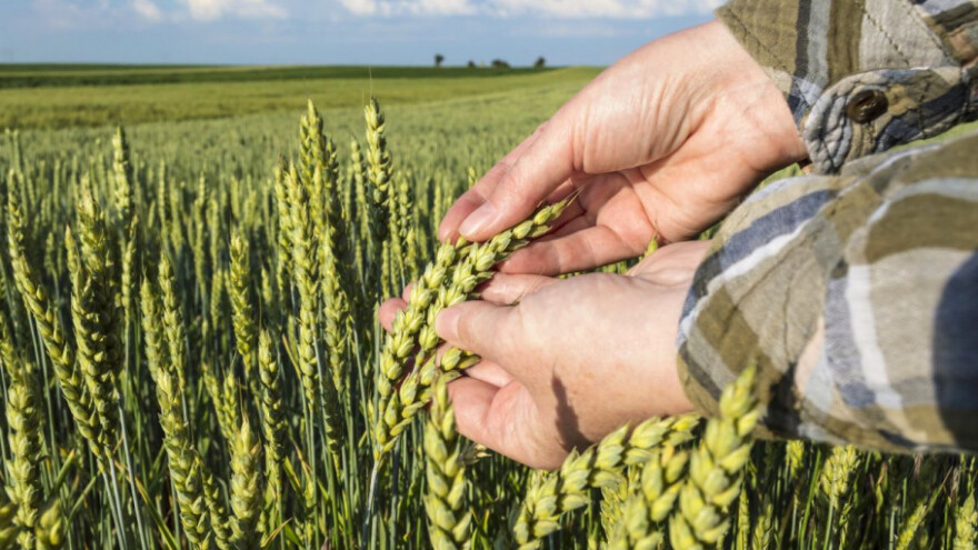 Htjeli olakšati nabavu gnojiva pa osnovali Stercoratio!