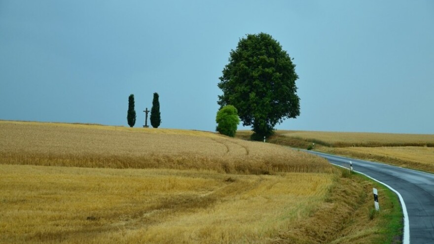 Ukradeno umjetno gnojivo i sjeme žitarica