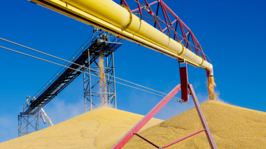 I dalje padaju cene kukuruza i soje