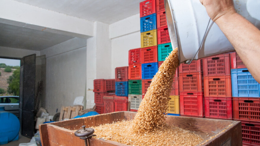 438 tisuća kuna za preradu žitarica!